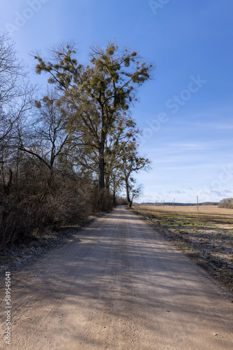 dangerous road for cars in the winter cold season