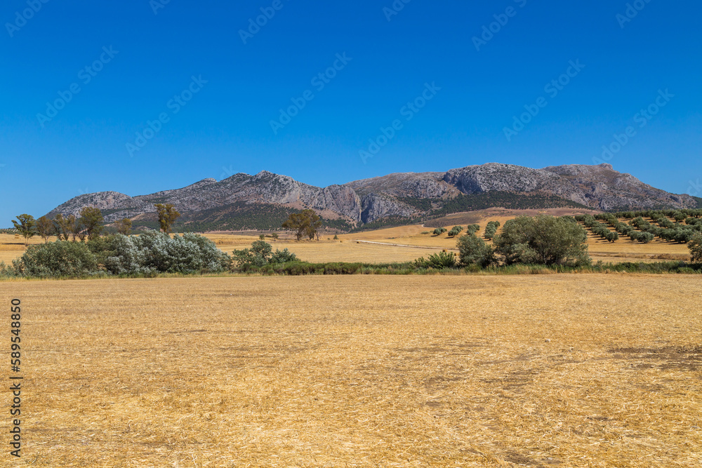 Fototapeta premium Sierra de Grazalema natural park