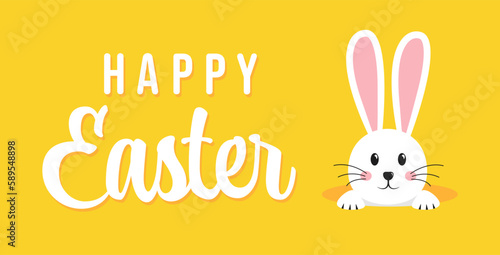 Easter rabbit  easter Bunny. Vector illustration.