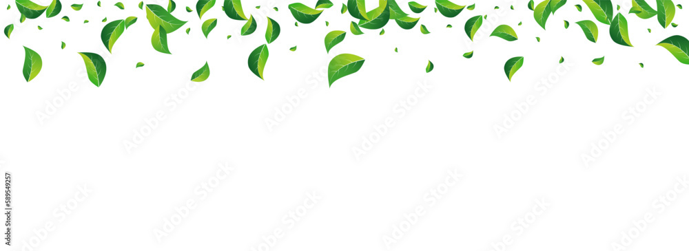 Grassy Leaves Swirl Vector Panoramic White Grassy Leaves Swirl Vector Panoramic White