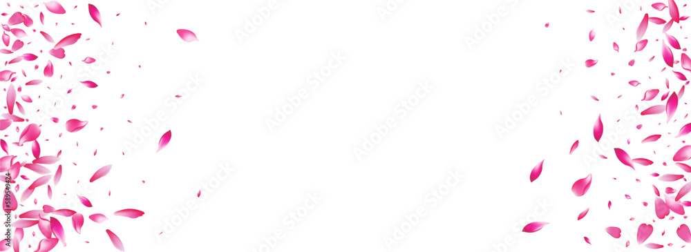 White Lotus Petal Vector Panoramic Background. White Lotus Petal Vector Panoramic Background.