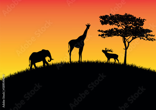 wildlife in the hill at sunset  vector illustration.