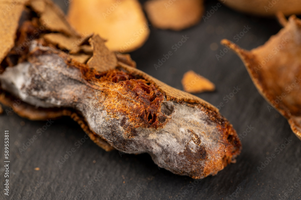 open ripe tamarind pods with edible pulp open ripe tamarind pods with edible pulp