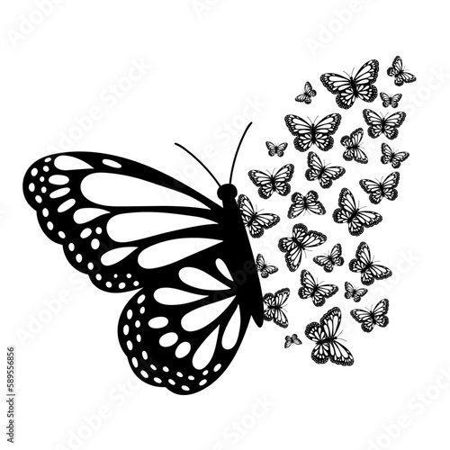 Hand drawn butterfly butterflies. Black butterfly silhouette. Vector illustration isolated on white background. Design for invitations, wedding or greeting cards.