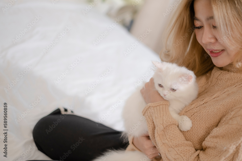 White adorable kitten in owner hug, relationship between onwer and pet.