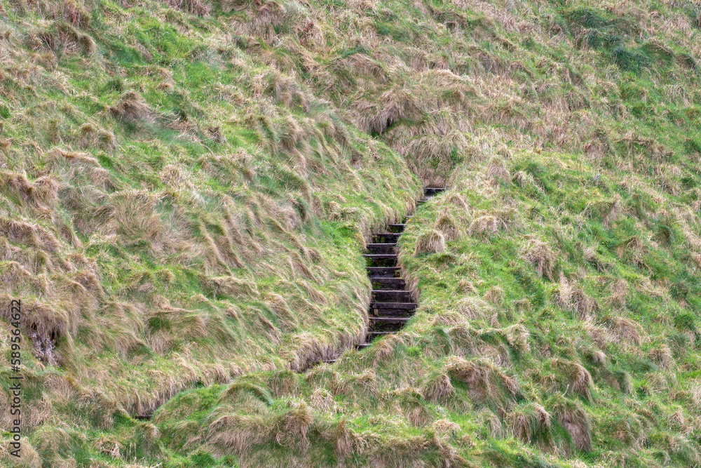 Fototapeta premium Steps in the steep cliff walk to Kinbane Castle ruins, Ballycastle, UK