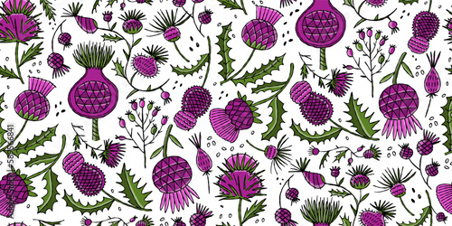 Milk Thistle flowers. Silymarin. Vector botanical illustration. Seamless patt...