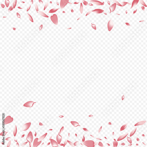 Color Blooming Vector Transparent Background.