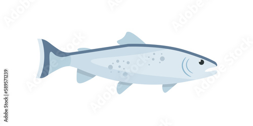 Trout, marine animal, freshwater or sea fish for fishing industry, fresh food ingredient
