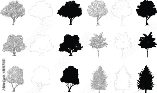 silhouette tree line drawing, Side view, set of graphics trees elements outline symbol for architecture and landscape design drawing. Vector illustration in stroke fill in white. Tropical, street tree