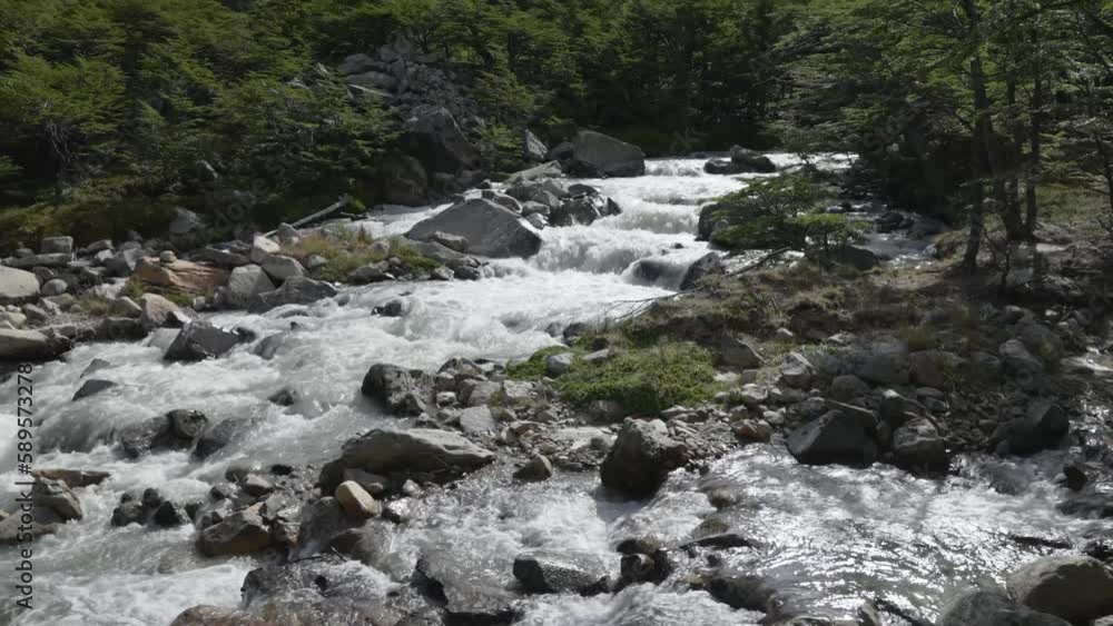 view of fresh water stream cascades between forest and mountains in Torres del Paine National Park view of fresh water stream cascades between forest and mountains in Torres del Paine National Park