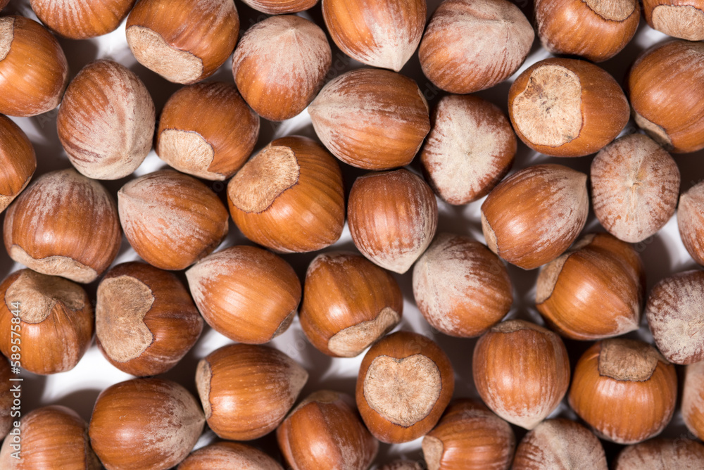 trama creat da tante nocciole, sfondo di nocciole trama creat da tante nocciole, sfondo di nocciole