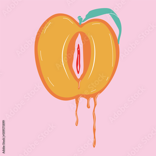 Fruit with outlines female labia. Illustrator a vagina. Vector