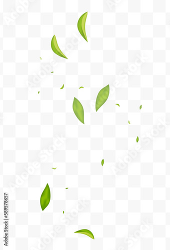 Forest Foliage Fly Vector Transparent Background