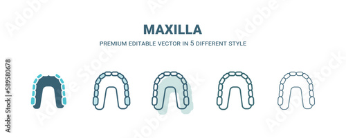 maxilla icon in 5 different style. Outline, filled, two color, thin maxilla icon. Editable vector can be used web and mobile photo