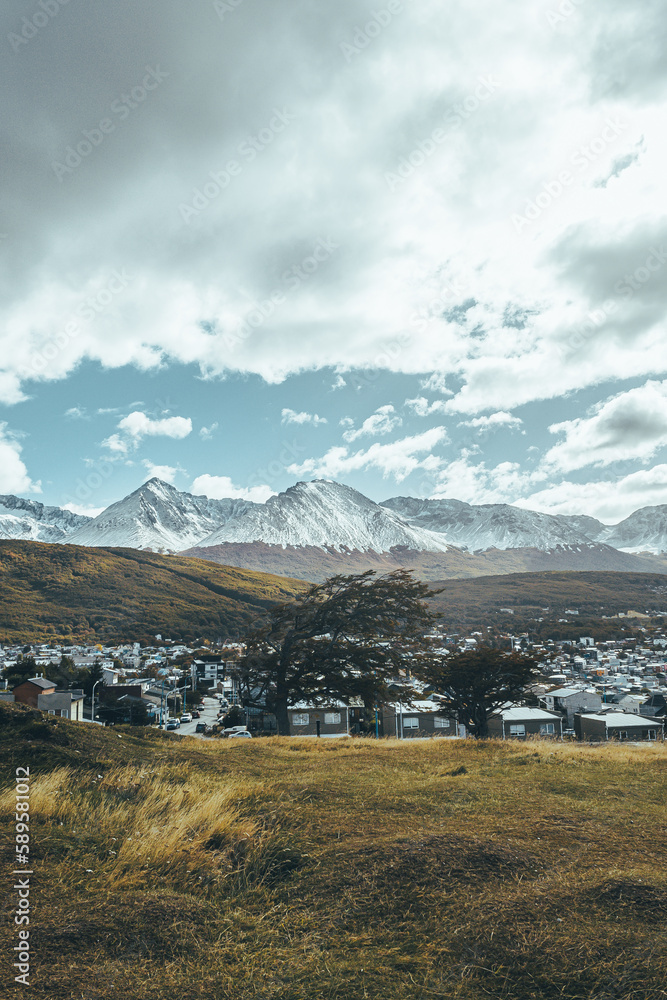 Fototapeta premium landscape with sky