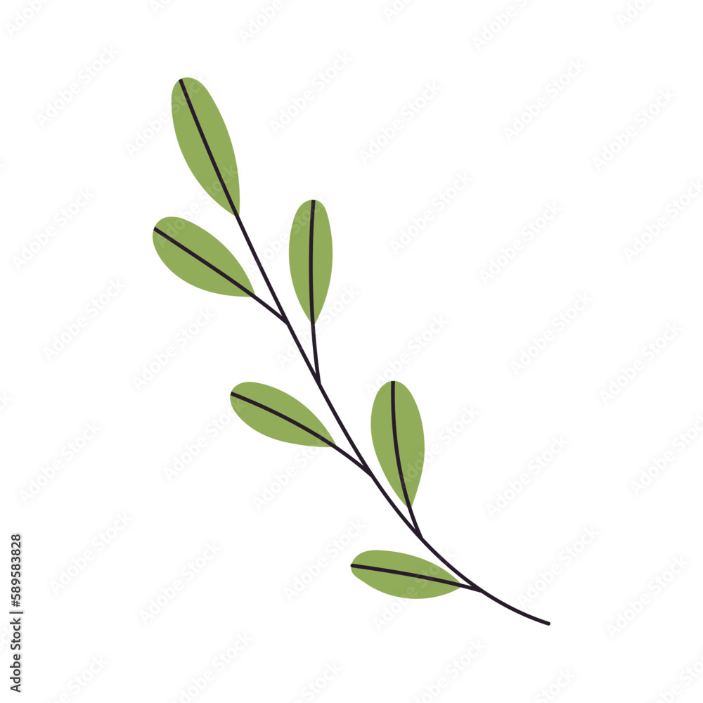 Abstract Twig with Leaves. Element for print, postcard and poster. Vector Hand Draw illustration