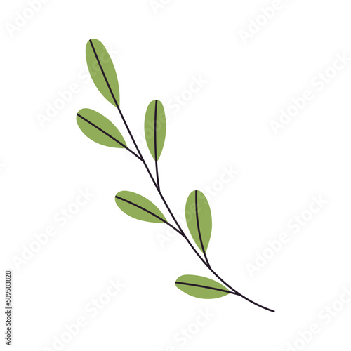 Abstract Twig with Leaves. Element for print  postcard and poster. Vector Hand Draw illustration