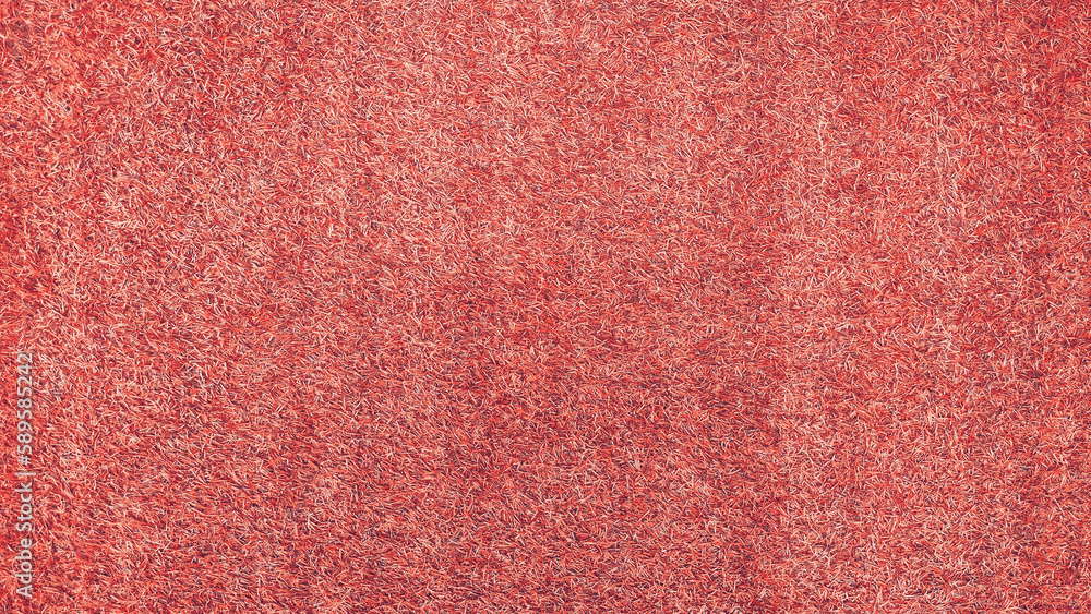 Abstract texture of red grass surface for background design fill text Abstract texture of red grass surface for background design fill text