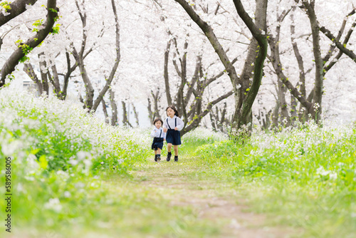 桜の並木道を走る幼稚園児の姉妹