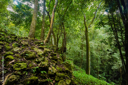 Palenque archeological site in Mexico