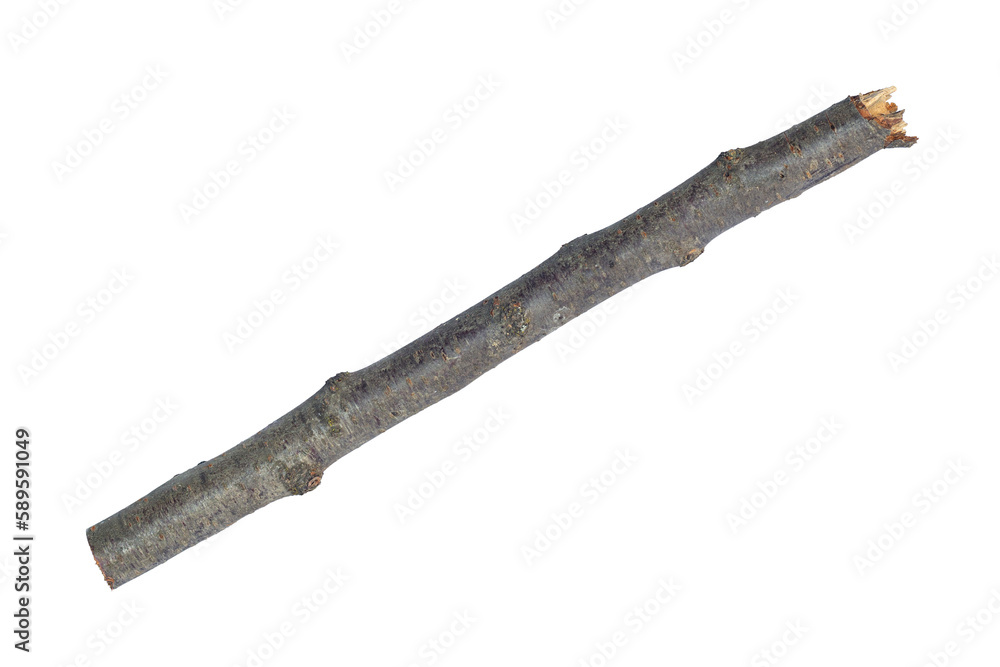 log, log wood, saw cut stick isolate log, log wood, saw cut stick isolate