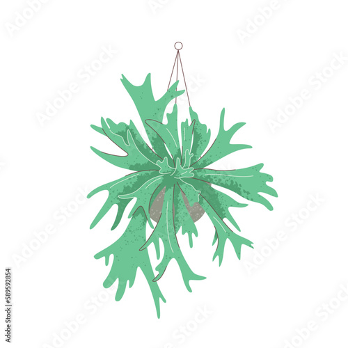 Illustration of Platycerium plant in pot on white