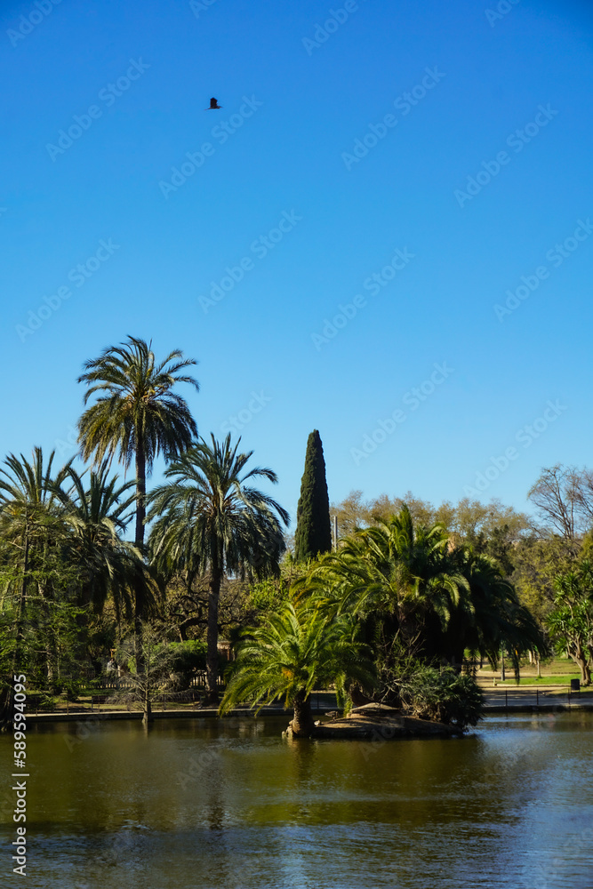 Lake with palms, conifers and trees