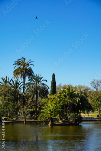 Lake with palms, conifers and trees © Natalia