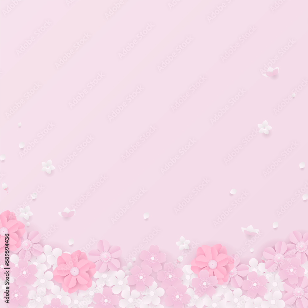 Cherry blossoms with petals on pink background
