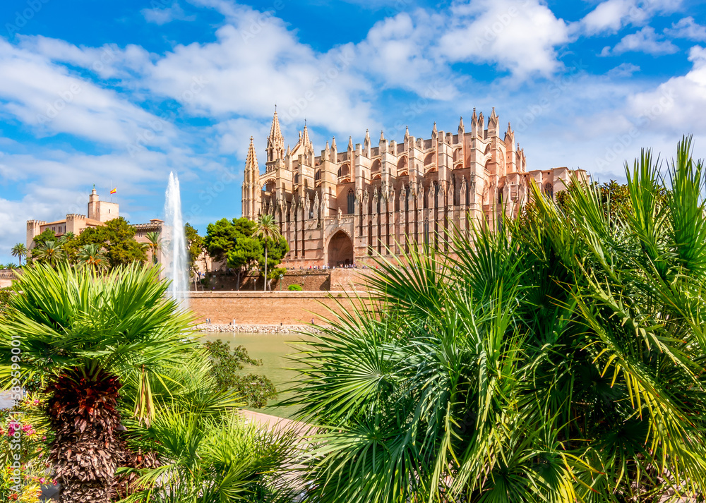 Cathedral of Santa Maria of Palma (La Seu) and palm trees, Palma de Mallorca, Spain