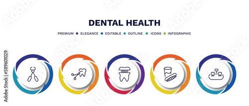 set of dental health thin line icons. dental health outline icons with infographic template. linear icons such as tooth pliers, tooth extraction, molar crown, denture, overdenture vector.