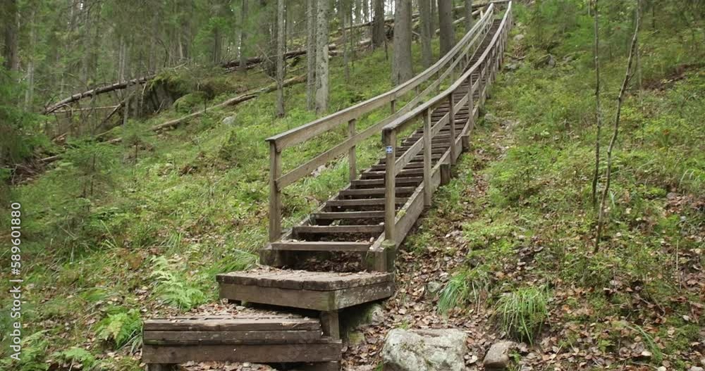 Nature trail with wooden stairs in forest in autumn with fallen leaves on the ground, Nuuksio National Park, Finland. Nature trail with wooden stairs in forest in autumn with fallen leaves on the ground, Nuuksio National Park, Finland.