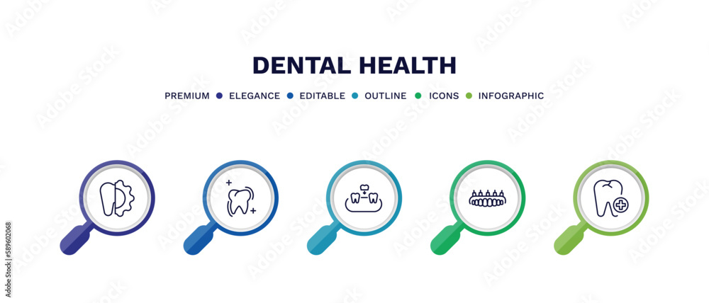 set of dental health thin line icons. dental health outline icons with infographic template. linear icons such as apicoectomy, sealants, overdenture, dental prosthesis, aid vector. set of dental health thin line icons. dental health outline icons with infographic template. linear icons such as apicoectomy, sealants, overdenture, dental prosthesis, aid vector.