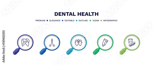 set of dental health thin line icons. dental health outline icons with infographic template. linear icons such as dental plaque, dentist scissors, house, toothpaste tube, denture vector.