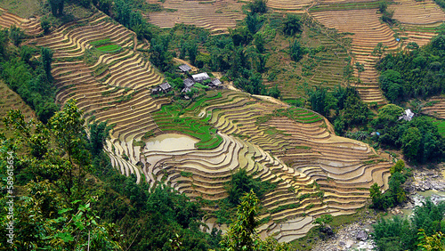 Paisaje terrazas de arroz de Sapa, Vietnam