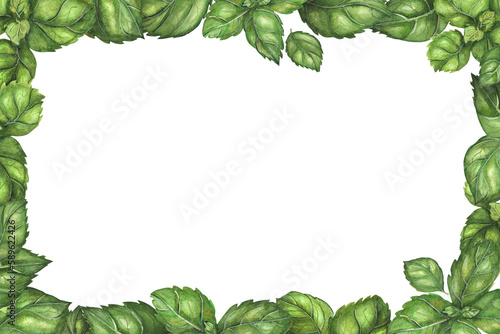 Vegetarian rectangular frame with fresh basil leaves. Botanical watercolor green illustration.