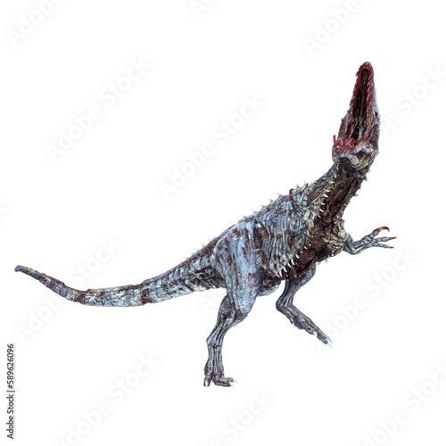 giganotosaurus is a zombie in fighting pose on side view