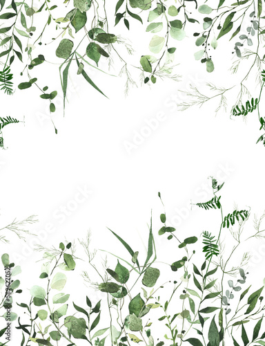 Watercolor painted greenery frame. Green wild plants  branches  leaves and twigs. Cut out hand drawn PNG illustration on transparent background. Isolated template clipart.