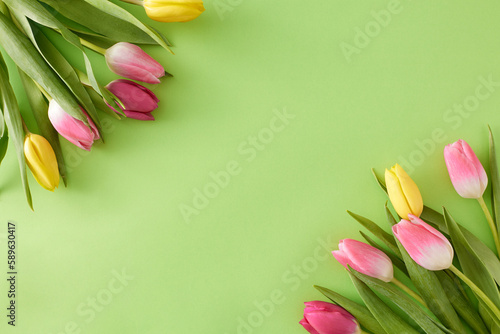 Fototapeta Naklejka Na Ścianę i Meble -  Spring atmosphere concept. Flat lay photo of bouquets of flowers yellow pink tulips on isolated light green background with blank space in the middle