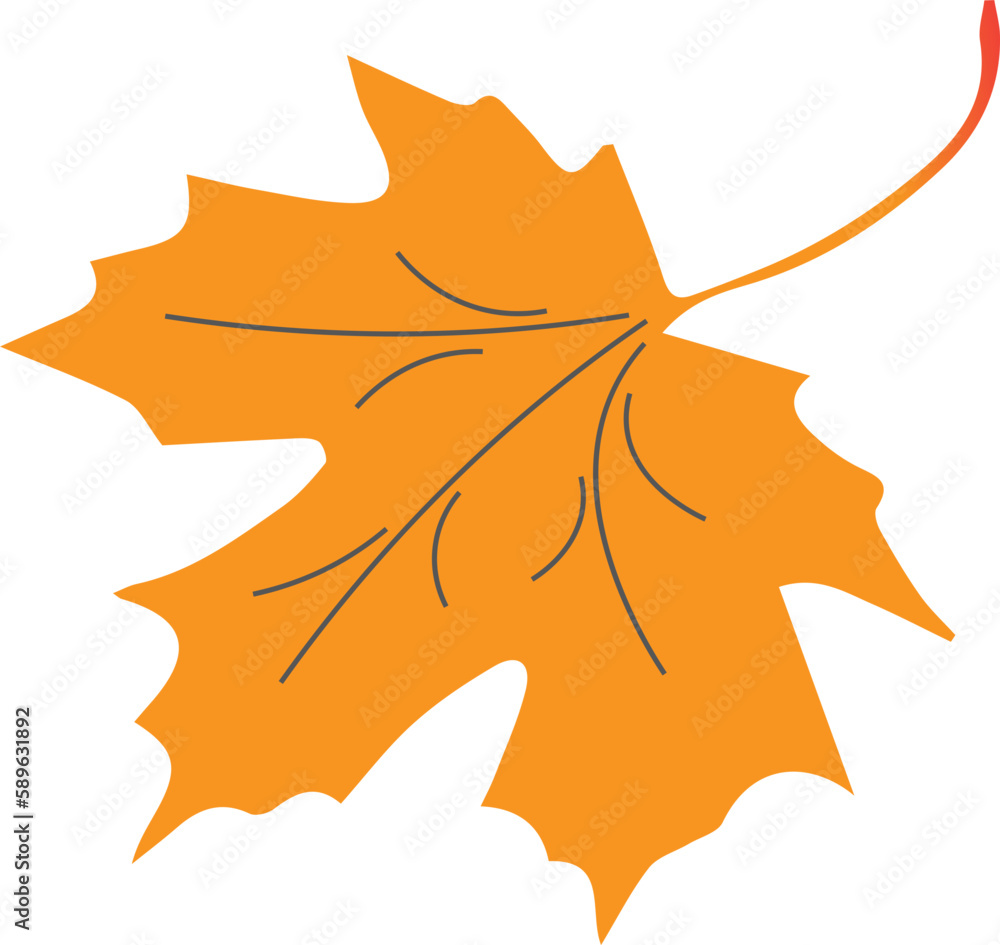 Naklejka premium Autumn maple leaf