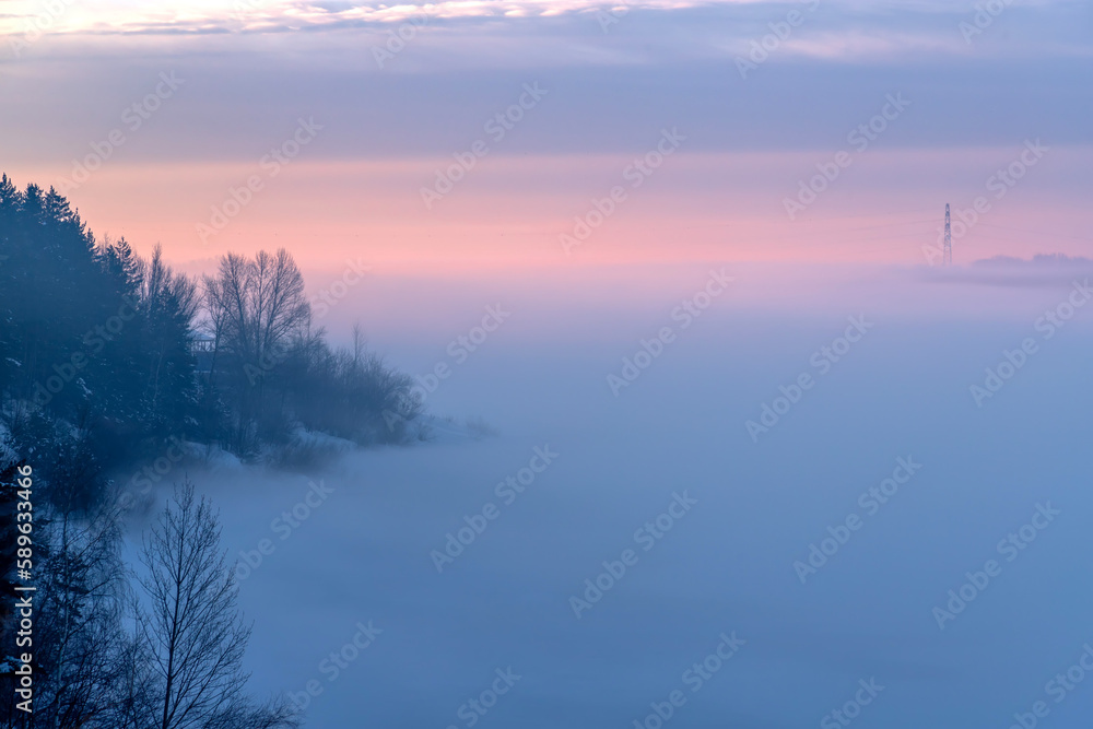 Forest and river in winter covered by snow. Winter pines in the fog. Forest and river in winter covered by snow. Winter pines in the fog.