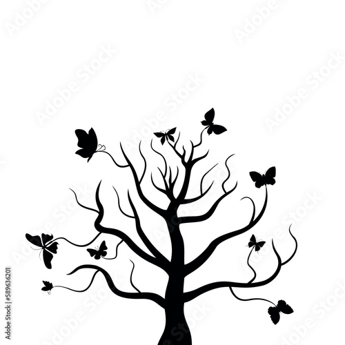 Forest butterflies