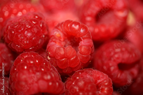 Background of ripe red raspberries fruits natural healthy vitamins power big size high quality botanical print rubus phoenicolasius family rosaceae