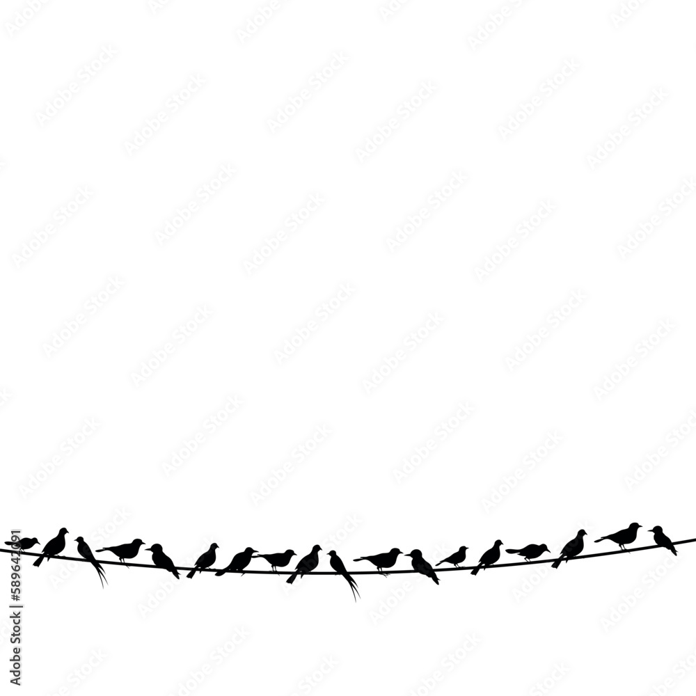 Flock of birds Flock of birds