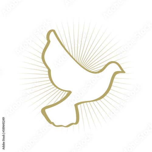 white dove, vector
