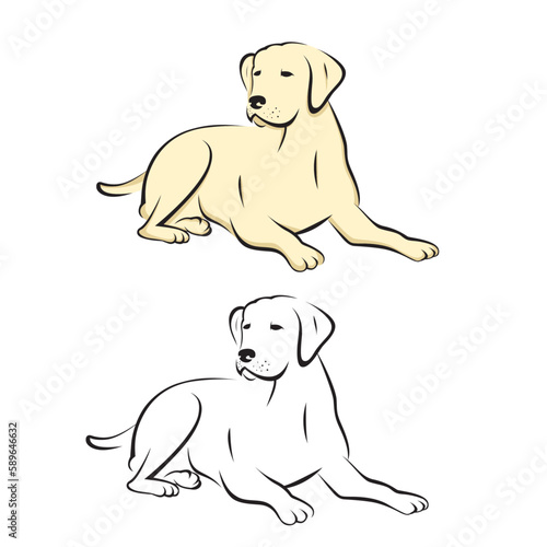 Labrador retriever dog sitting or lying on floor vector illustration