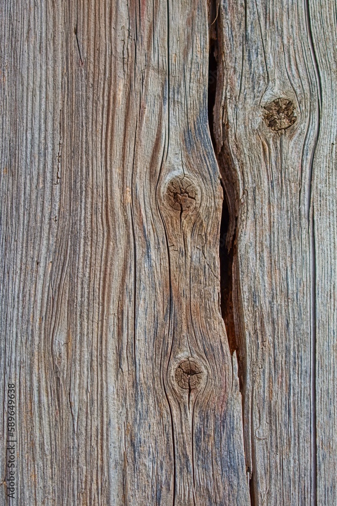 old wood, board with cracks and knots old wood, board with cracks and knots