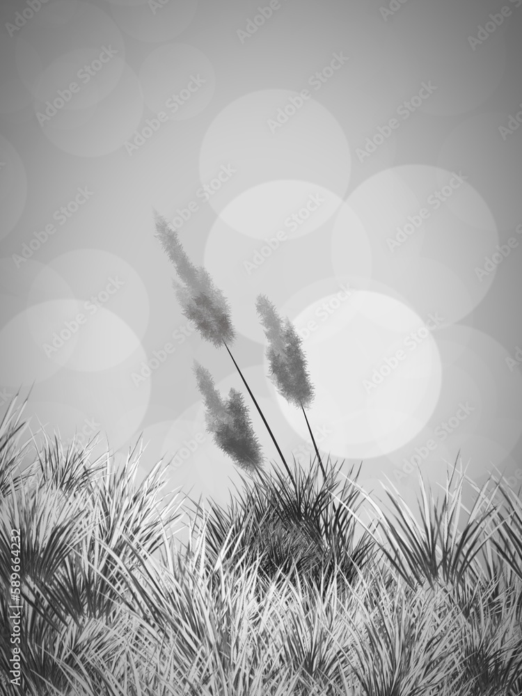 Obraz premium Gray blur background with grass field 