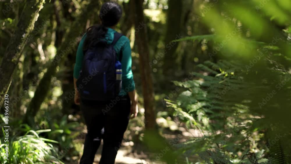 Woman with backpack walking in the middle of the forest Woman with backpack walking in the middle of the forest